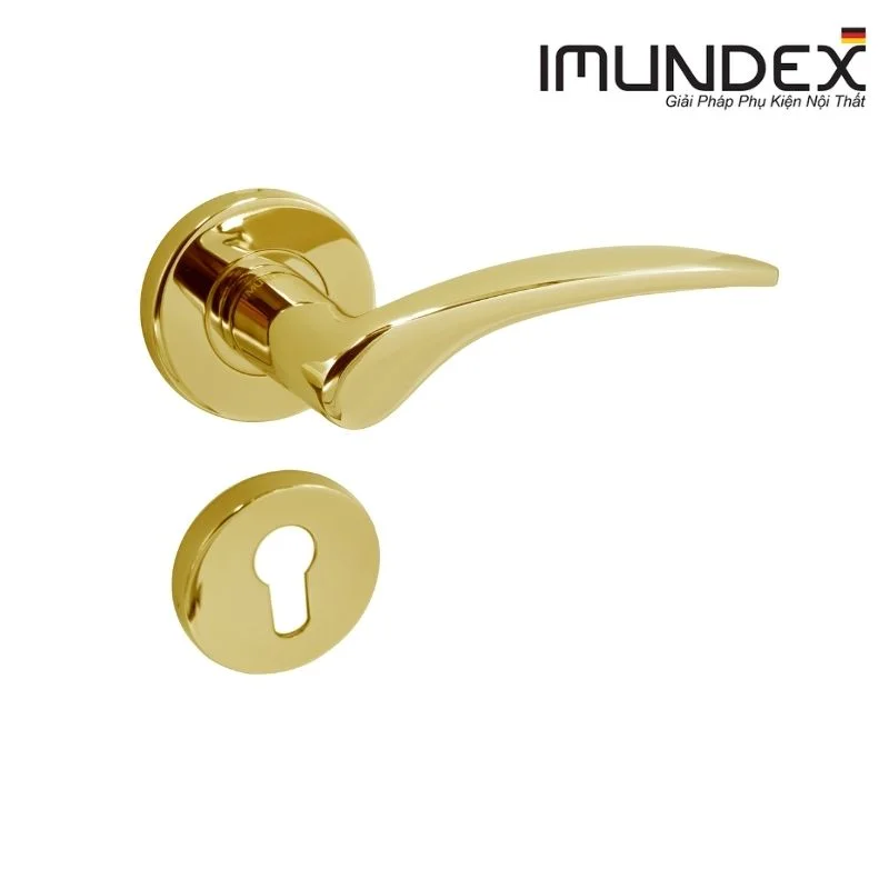 Tay nắm gạt đặc Imundex 737.17.382