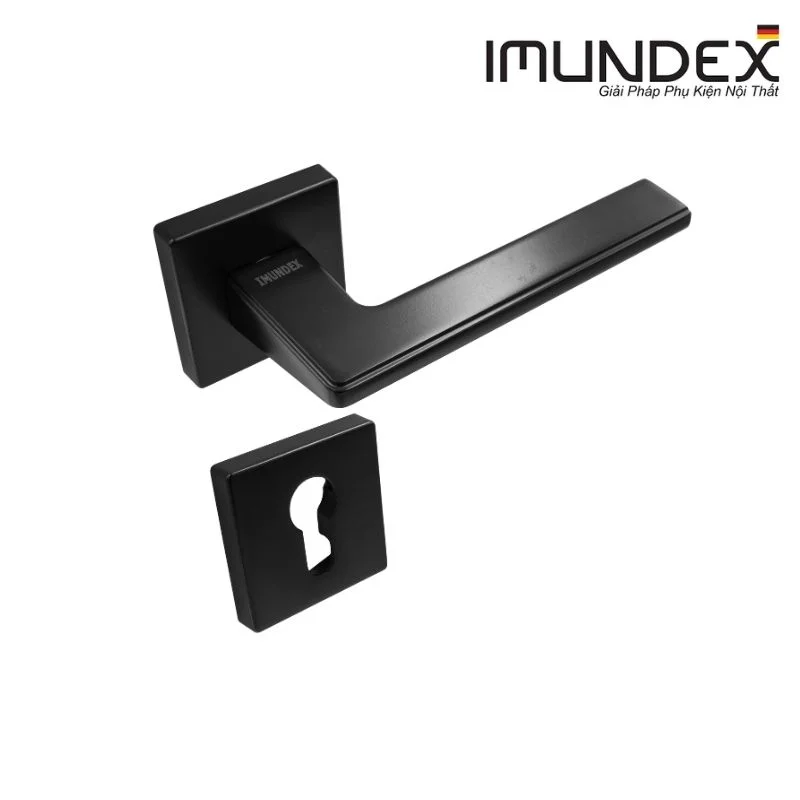Tay nắm gạt đặc Imundex 737.47.550