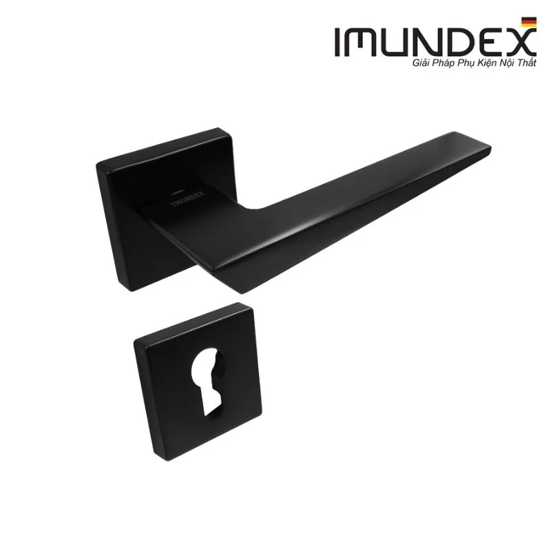 Tay nắm gạt đặc Imundex 737.47.551