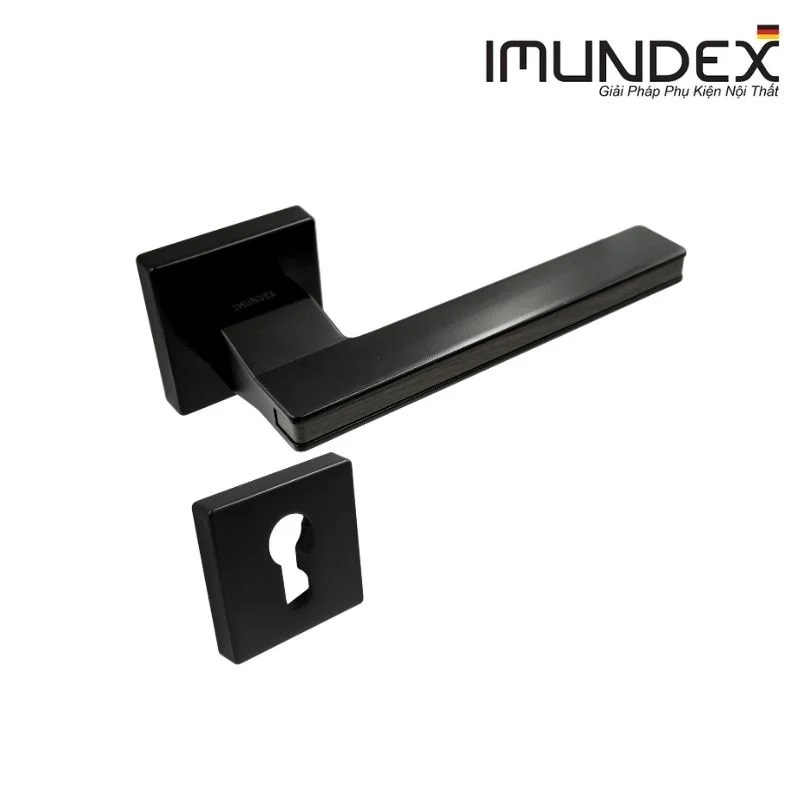 Tay nắm gạt đặc Imundex 737.47.552