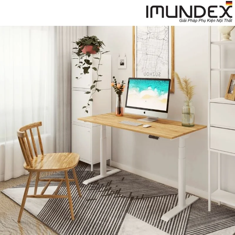 Phụ kiện bàn nâng hạ bằng điện (2 động cơ điện) Imundex 7520201