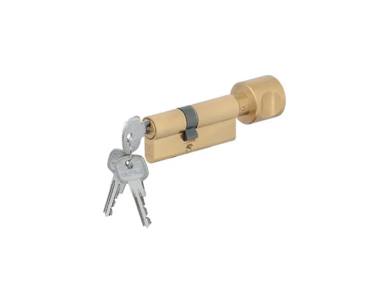 Ruột khóa Häfele 1 đầu chìa 1 đầu vặn 65mm 916.96.666